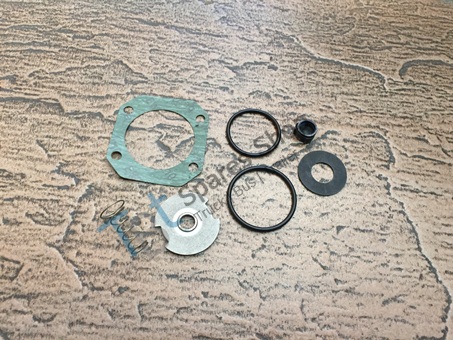 limiting valve repair kit - 4750100002